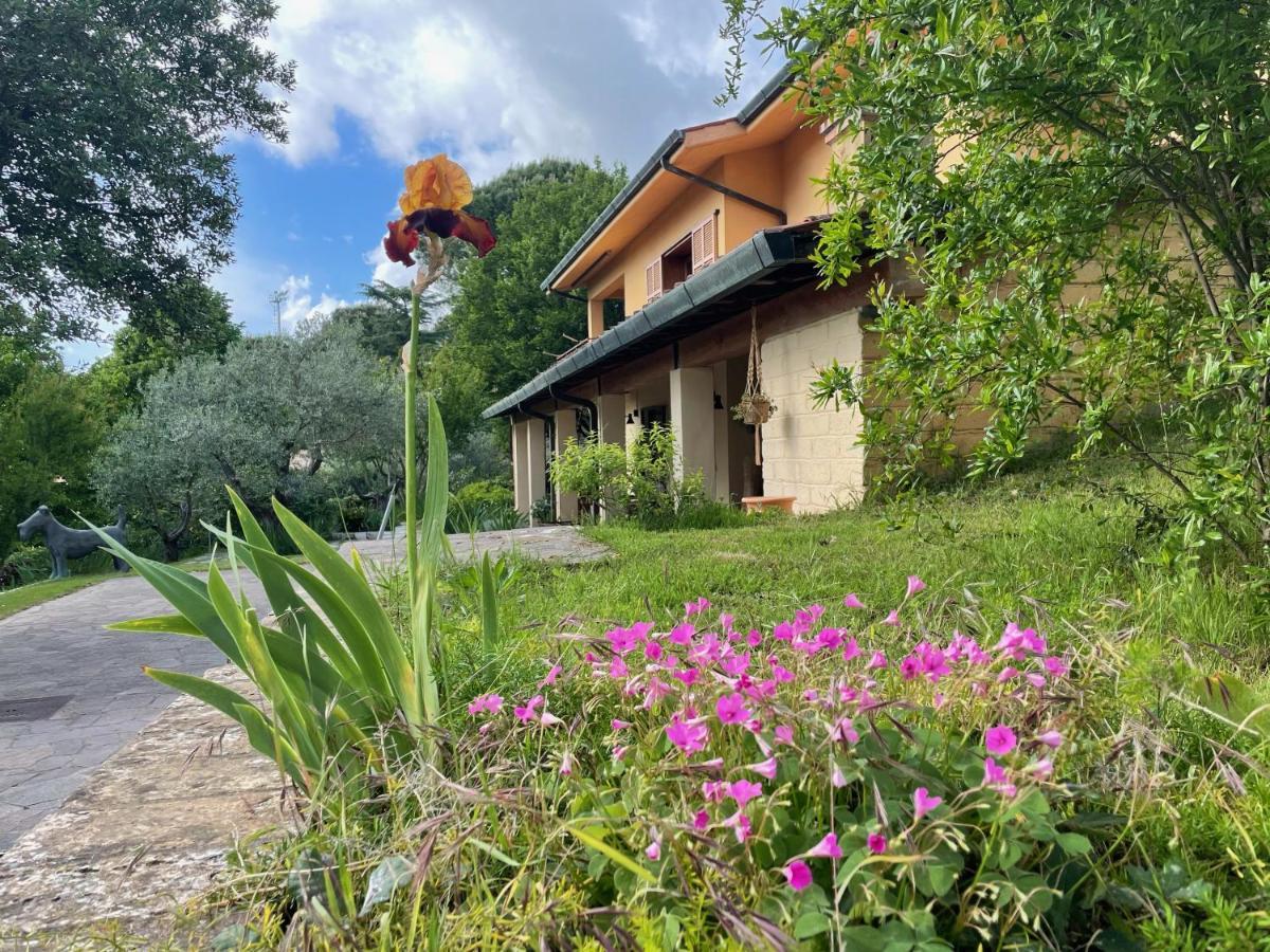 Botanea Guest House Fonte Nuova ภายนอก รูปภาพ